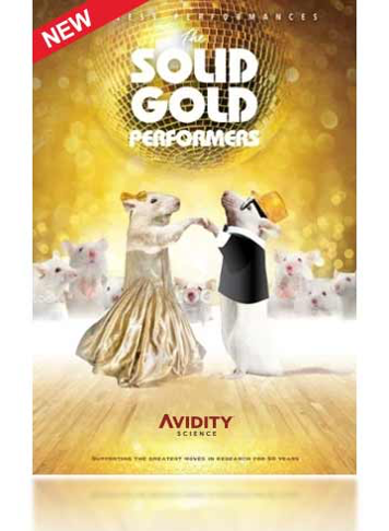 AVidity Poster